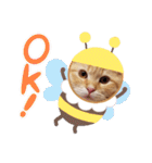 ラガマフィンのちゃあちゃん2（個別スタンプ：38）