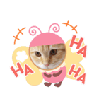 ラガマフィンのちゃあちゃん2（個別スタンプ：39）