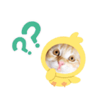 ラガマフィンのちゃあちゃん2（個別スタンプ：40）