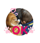 萌えりっくん（個別スタンプ：26）