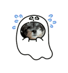 ジジこやん（個別スタンプ：8）
