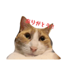 まるともだぉ。（個別スタンプ：2）