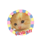 まるともだぉ。（個別スタンプ：8）