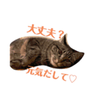 まるともだぉ。（個別スタンプ：10）