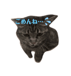 まるともだぉ。（個別スタンプ：12）