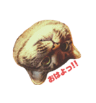 まるともだぉ。（個別スタンプ：14）