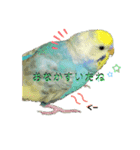 ほっぺちゃん集（個別スタンプ：1）