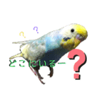 ほっぺちゃん集（個別スタンプ：2）