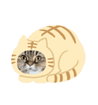 まろゆぽちゃん（個別スタンプ：9）