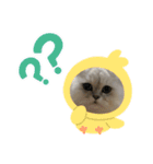 まろゆぽちゃん（個別スタンプ：10）