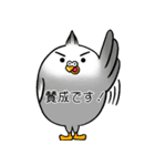 伝わるインコ【敬語】（個別スタンプ：29）