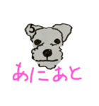 まいにちショーン（個別スタンプ：6）