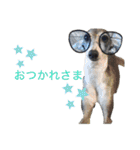 love.lily（個別スタンプ：8）