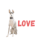 love.lily（個別スタンプ：40）