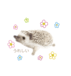 うなの絵とかかぞく（個別スタンプ：24）
