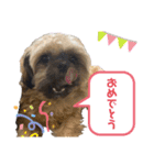 グルト＆ラテ 日常生活ver.（個別スタンプ：10）