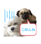 グルト＆ラテ 日常生活ver.（個別スタンプ：14）