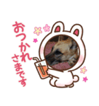 大好きグリーンファミリー（個別スタンプ：13）