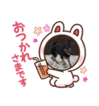 大好きグリーンファミリー（個別スタンプ：15）