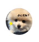 犬氏おまけ（個別スタンプ：3）