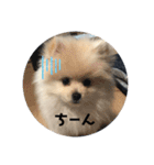 犬氏おまけ（個別スタンプ：7）
