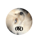犬氏おまけ（個別スタンプ：8）