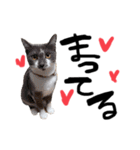 perilove（個別スタンプ：4）