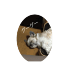 僕らのボス（個別スタンプ：3）