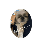 僕らのボス（個別スタンプ：7）