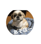 僕らのボス（個別スタンプ：8）
