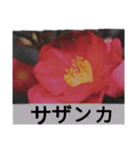 一文字ずつ使えるスタンプ③ その他（個別スタンプ：19）