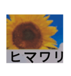 一文字ずつ使えるスタンプ③ その他（個別スタンプ：20）