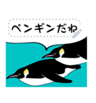 ペンギンメッセージスタンプ（個別スタンプ：18）