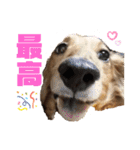 まろりーんこ（個別スタンプ：1）