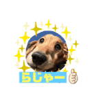 まろりーんこ（個別スタンプ：5）