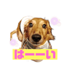 まろりーんこ（個別スタンプ：7）