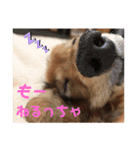 まろりーんこ（個別スタンプ：8）
