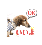 まろりーんこ（個別スタンプ：12）