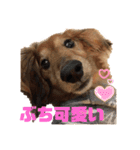 まろりーんこ（個別スタンプ：14）