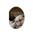 僕らのボス2（個別スタンプ：4）