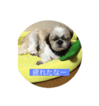 僕らのボス2（個別スタンプ：7）
