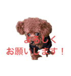 虎太郎の挨拶2（個別スタンプ：2）