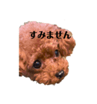 虎太郎の挨拶2（個別スタンプ：6）