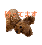 虎太郎の挨拶2（個別スタンプ：8）