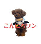 虎太郎の挨拶2（個別スタンプ：11）