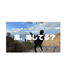 シャイの日常 1（個別スタンプ：13）