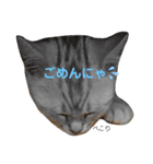 ジィルスタンプ③（個別スタンプ：3）