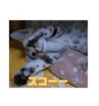 ジィルスタンプ③（個別スタンプ：7）