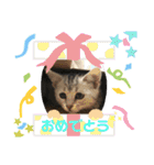ジィルスタンプ③（個別スタンプ：16）