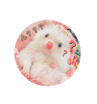 はりはりすたんぷ（個別スタンプ：2）